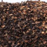 Tree Surgeons Dulwich