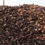 Tree Surgeons Southend