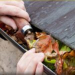 Gutter Clearance Richmond