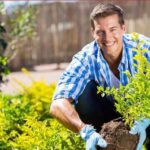 Tree Surgeons South London