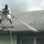 Chemical Roof Cleaning Wellington FL