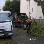 Tree Surgeons Enfield