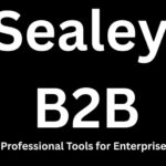 Sealey B2B: Realizing the Potential of Professional Tools for Enterprises