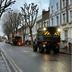 Colchester Tree Surgeons
