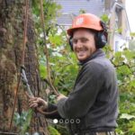 Tree Surgeons Chelmsford