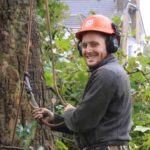 Tree Surgeons South London