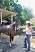 horse-handler