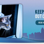 Window Repairs Farnham