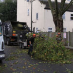 Tree Surgeons Chelmsford