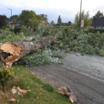 Storm Lilian: Flights cancelled and thousands without power